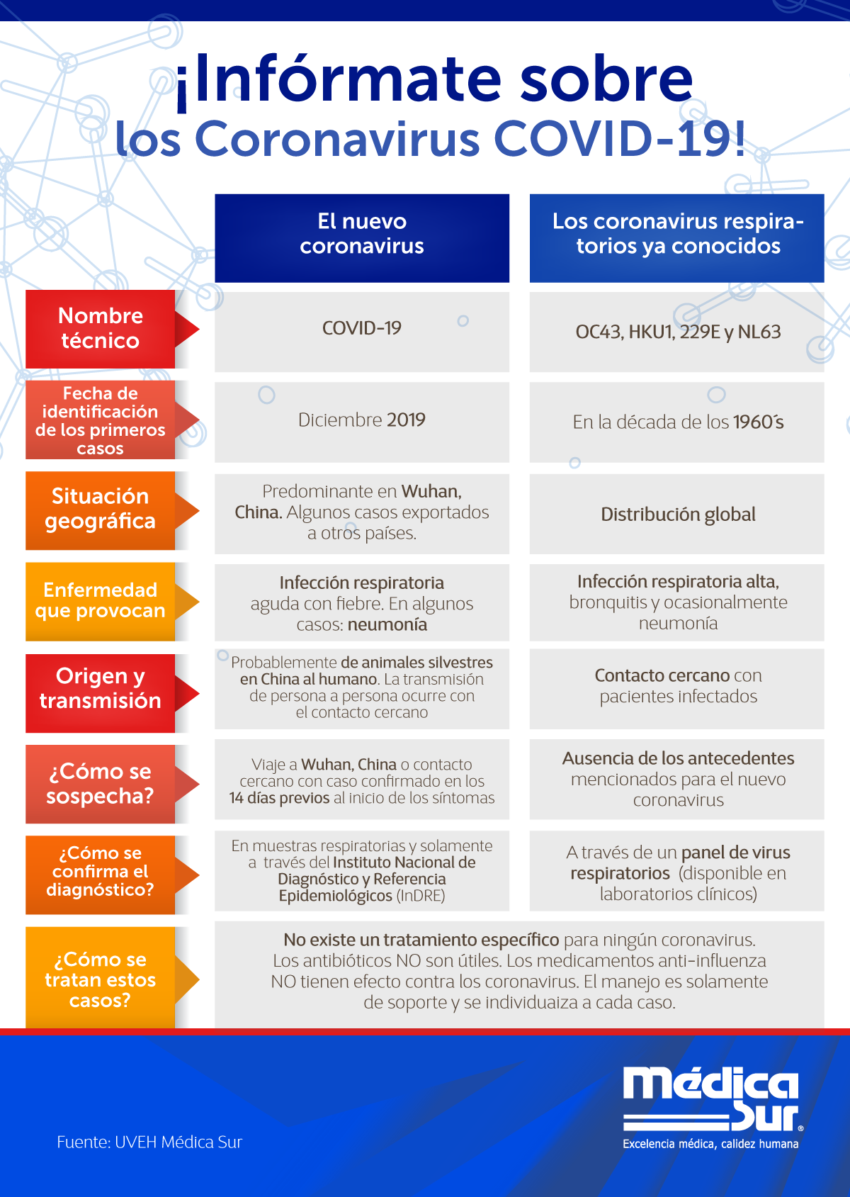 M Dica Sur Informaci N Para Compartir